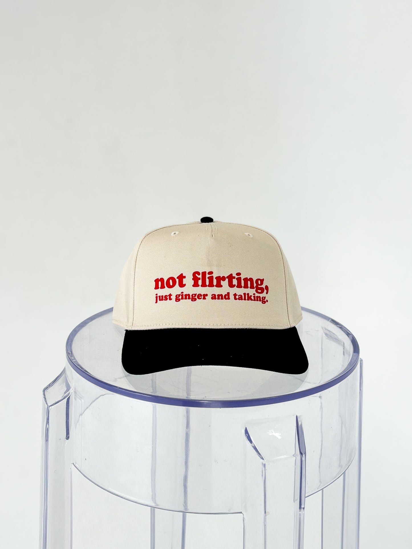 the 'just ginger and talking' trucker